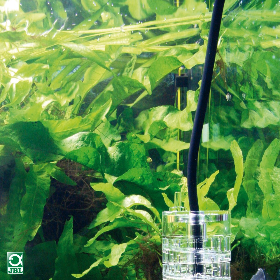 ProFlora T3 (CO₂ tube