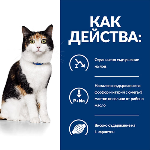 PD yd_CAT_3