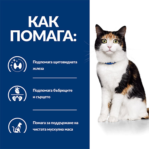PD yd_CAT_4