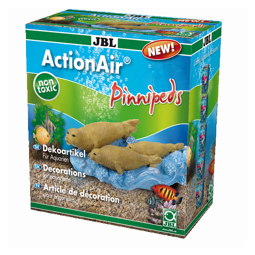 pinipeds 1