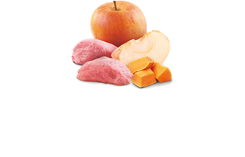 506_23_ND-PUMPKIN-boar-apple@web