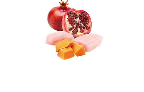 507_23_ND-PUMPKIN-chicken-pomegranate@web